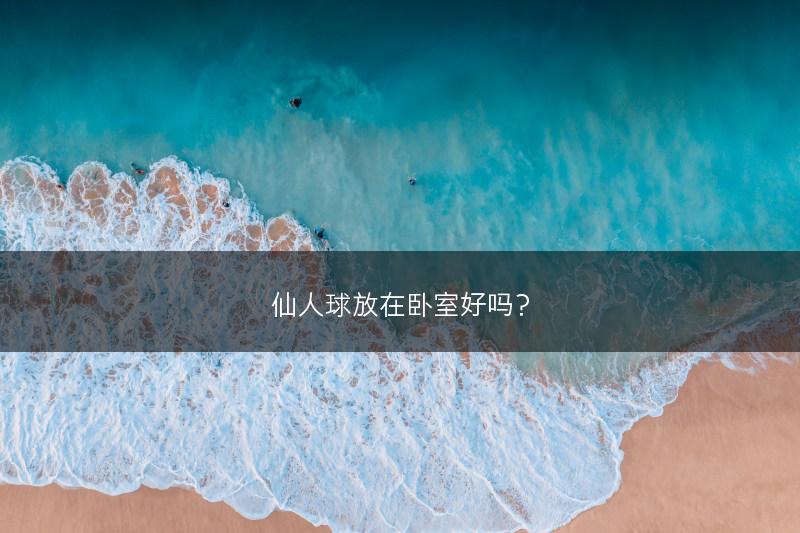 仙人球放在卧室好吗？(图1)
