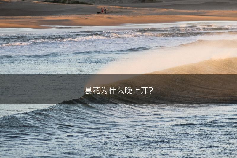 昙花为什么晚上开？(图1)