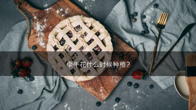 牵牛花什么时候种植？(图1)
