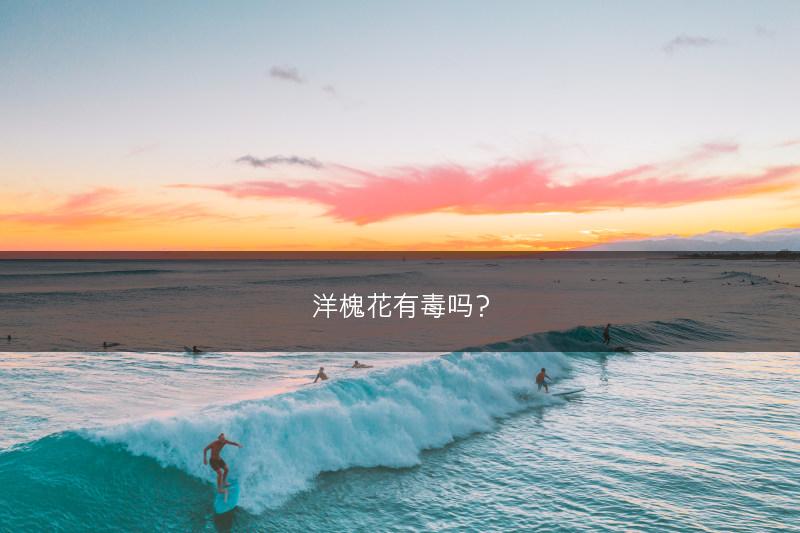 洋槐花有毒吗？(图1)