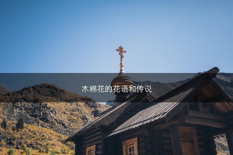 木棉花的花语和传说(图1) 木棉花的花语和传说(图1)