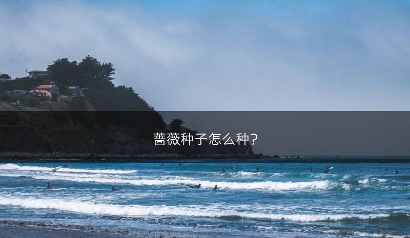 蔷薇种子怎么种？(图1)