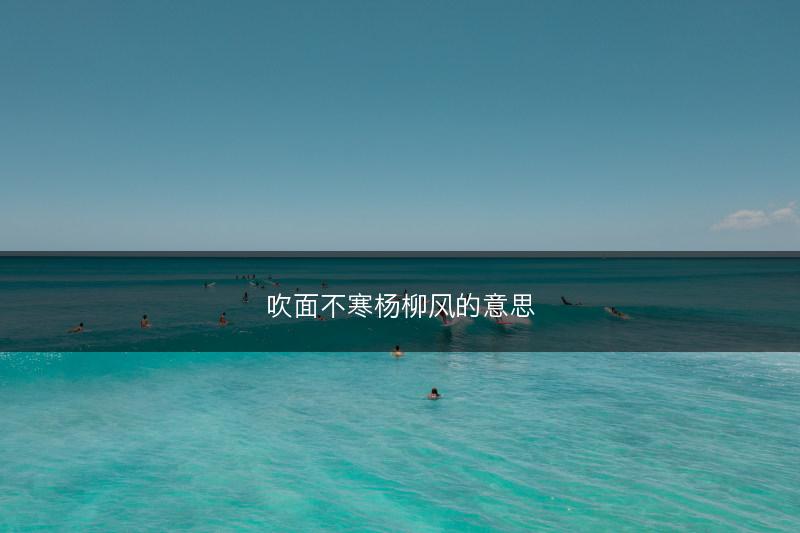 吹面不寒杨柳风的意思(图1)