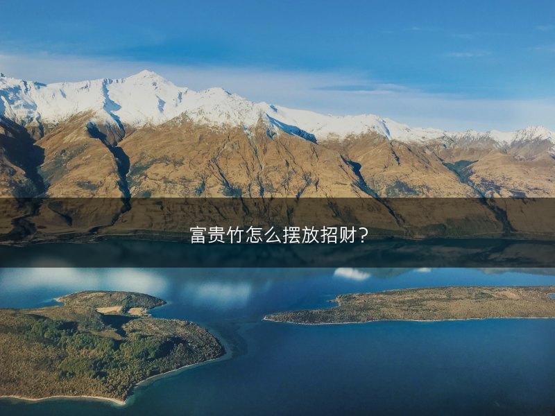 富贵竹怎么摆放招财？(图1)