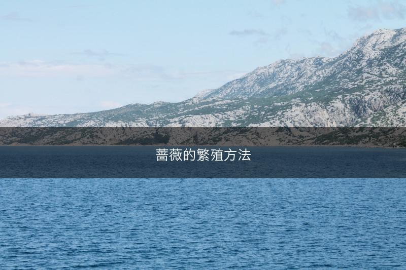 蔷薇的繁殖方法(图1)