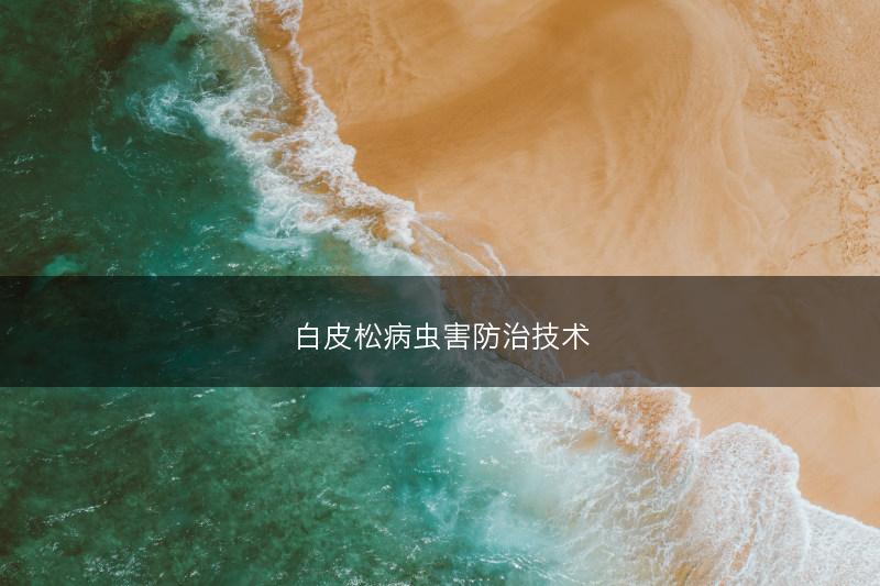 白皮松病虫害防治技术(图1)