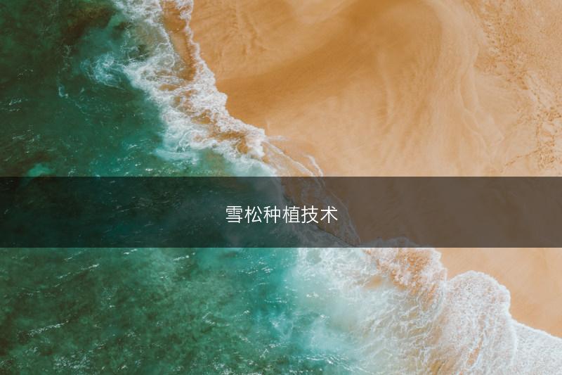 雪松种植技术(图1) 雪松种植技术(图1)