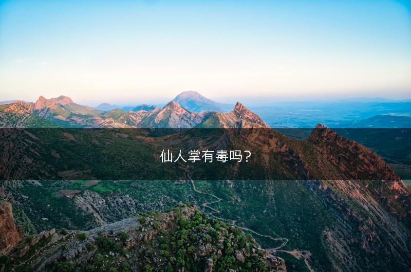 仙人掌有毒吗？(图1)