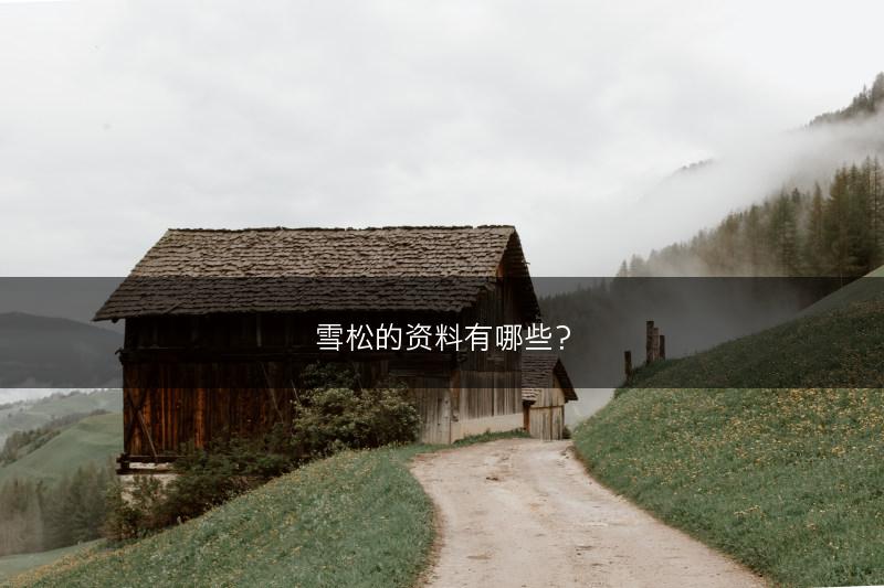 雪松的资料有哪些?(图1) 雪松的资料有哪些?(图1)