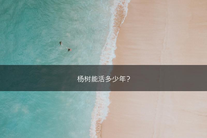 杨树能活多少年？(图1)