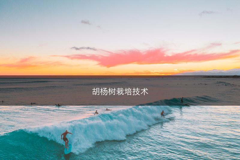 胡杨树栽培技术(图1)