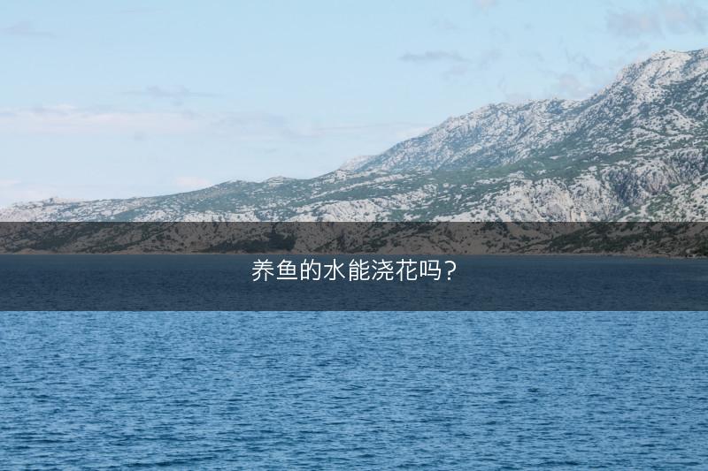 养鱼的水能浇花吗？(图1)