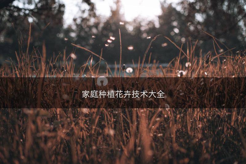 家庭种植花卉技术大全(图1)