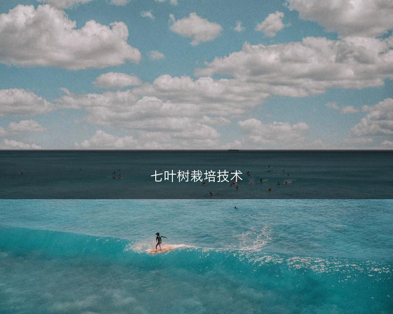 七叶树栽培技术(图1)