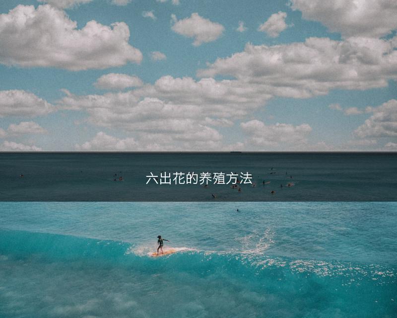 六出花的养殖方法(图1) 六出花的养殖方法(图1)