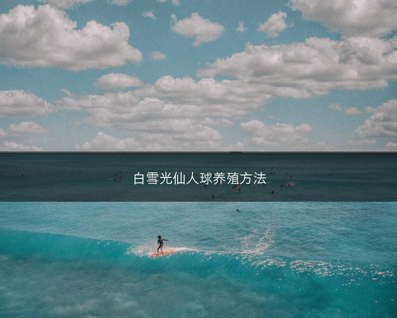 白雪光仙人球养殖方法(图1)