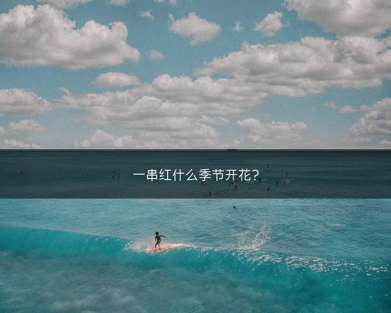 一串红什么季节开花？(图1)