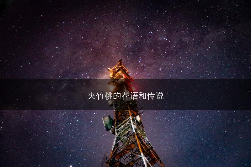 夹竹桃的花语和传说(图1)