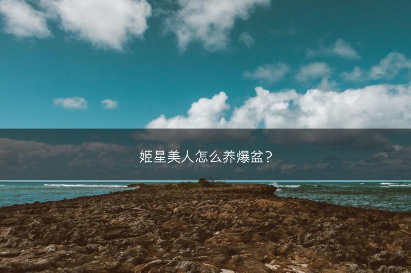 姬星美人怎么养爆盆?(图1) 姬星美人怎么养爆盆?(图1)