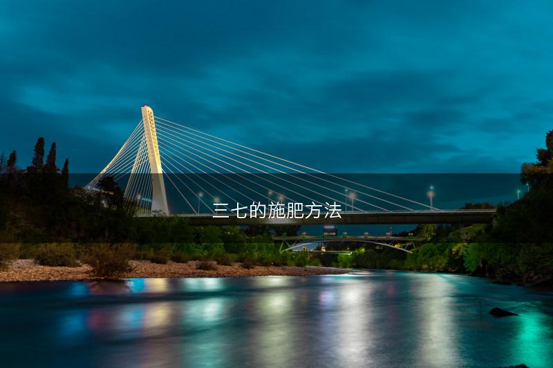 三七的施肥方法(图1)