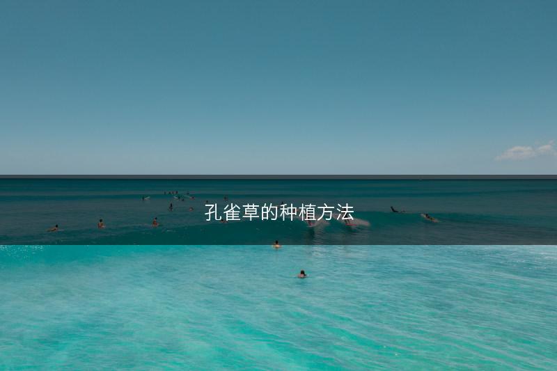 孔雀草的种植方法(图1) 孔雀草的种植方法(图1)