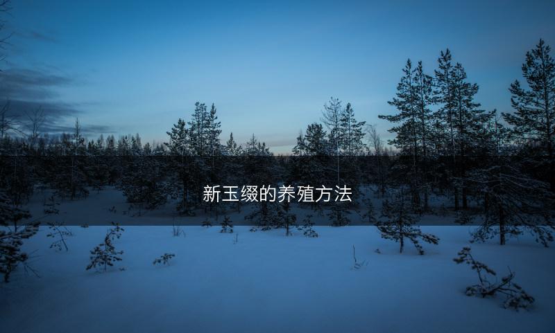 新玉缀的养殖方法(图1) 新玉缀的养殖方法(图1)