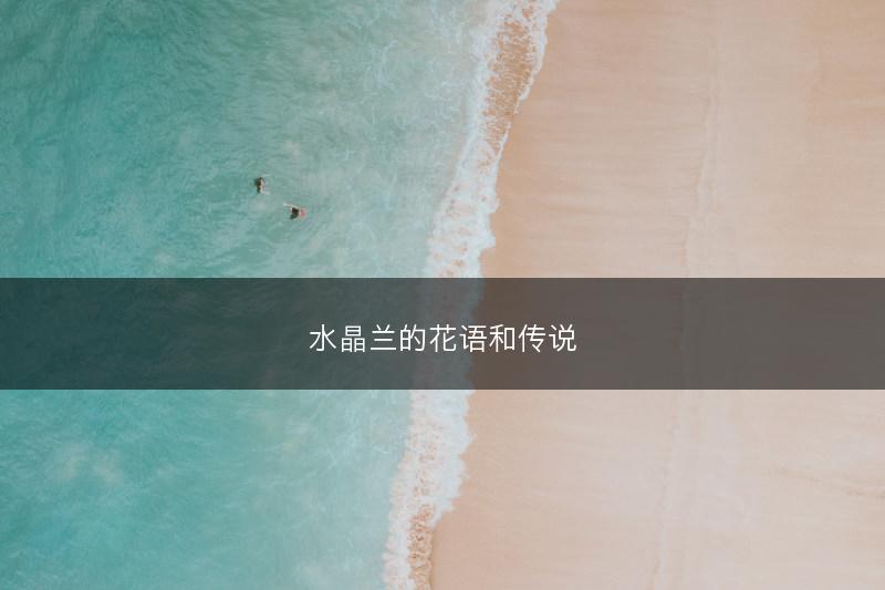 水晶兰的花语和传说(图1)