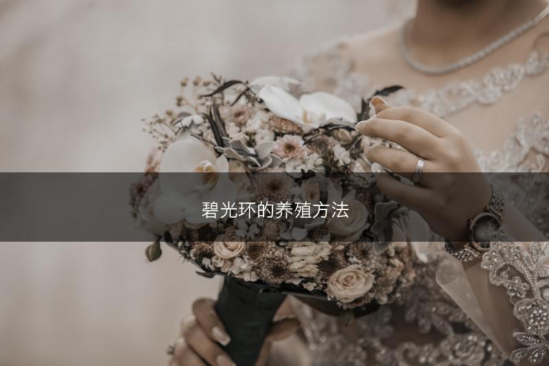 碧光环的养殖方法(图1)