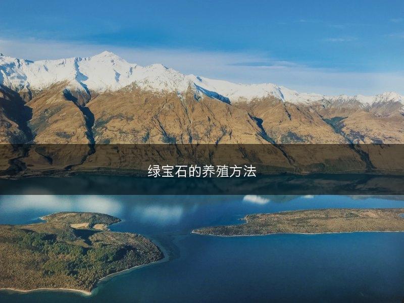 绿宝石的养殖方法(图1) 绿宝石的养殖方法(图1)