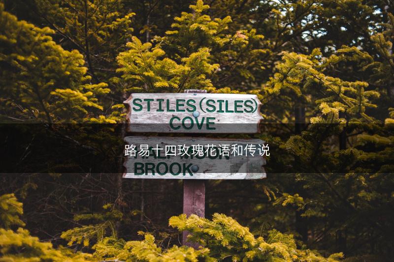 路易十四玫瑰花语和传说(图1) 路易十四玫瑰花语和传说(图1)