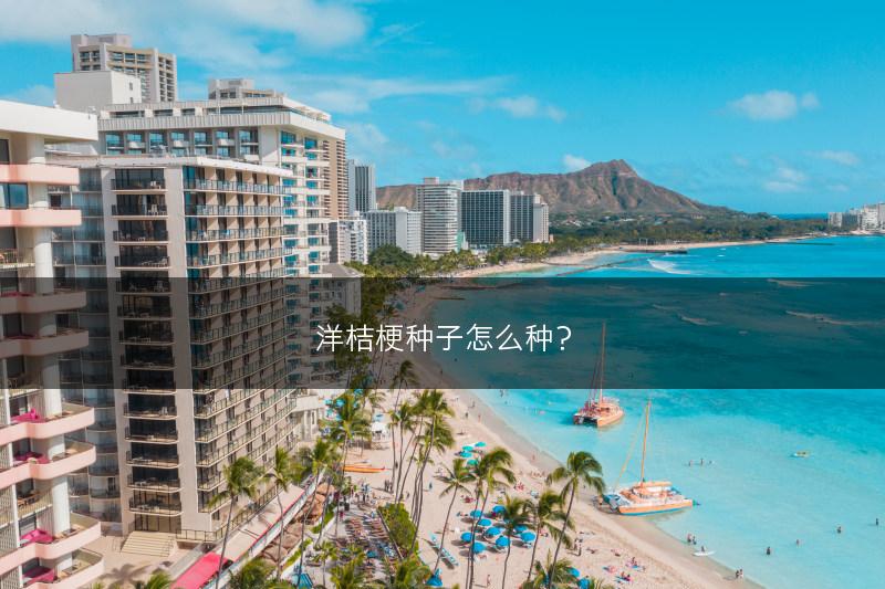 洋桔梗种子怎么种?(图1) 洋桔梗种子怎么种?(图1)