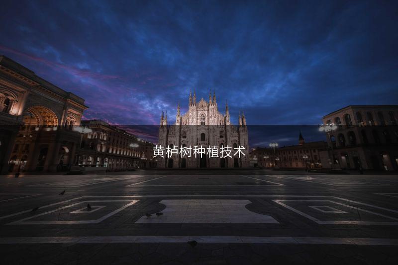 黄栌树种植技术(图1) 黄栌树种植技术(图1)