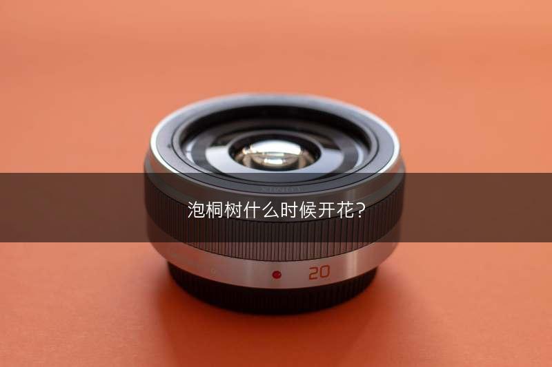 泡桐树什么时候开花?(图1) 泡桐树什么时候开花?(图1)