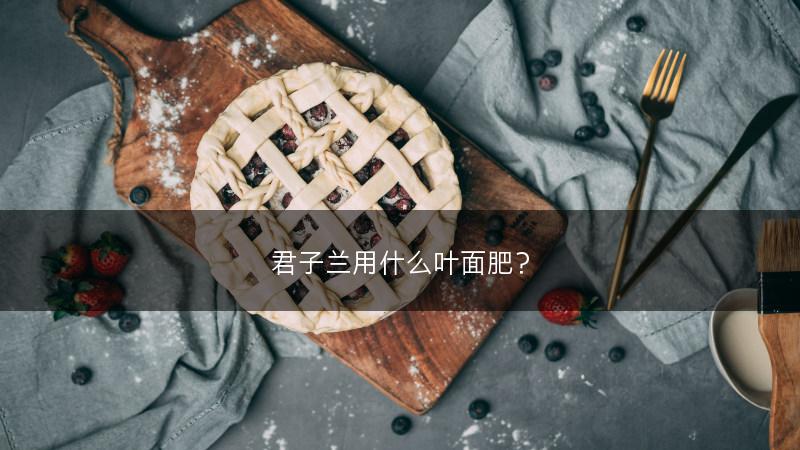 君子兰用什么叶面肥？(图1)