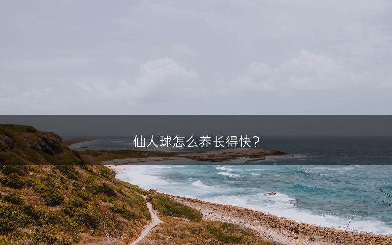 仙人球怎么养长得快?(图1) 仙人球怎么养长得快?(图1)