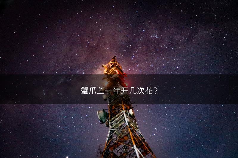 蟹爪兰一年开几次花?(图1) 蟹爪兰一年开几次花?(图1)