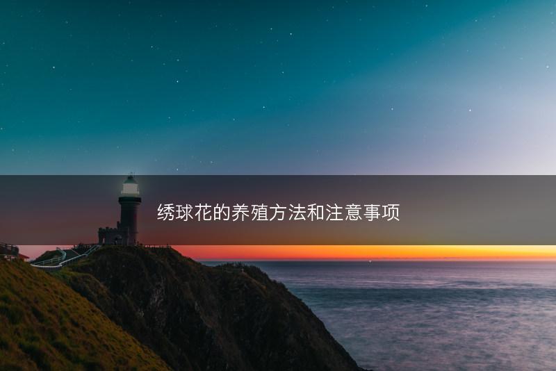 绣球花的养殖方法和注意事项(图1) 绣球花的养殖方法和注意事项(图1)