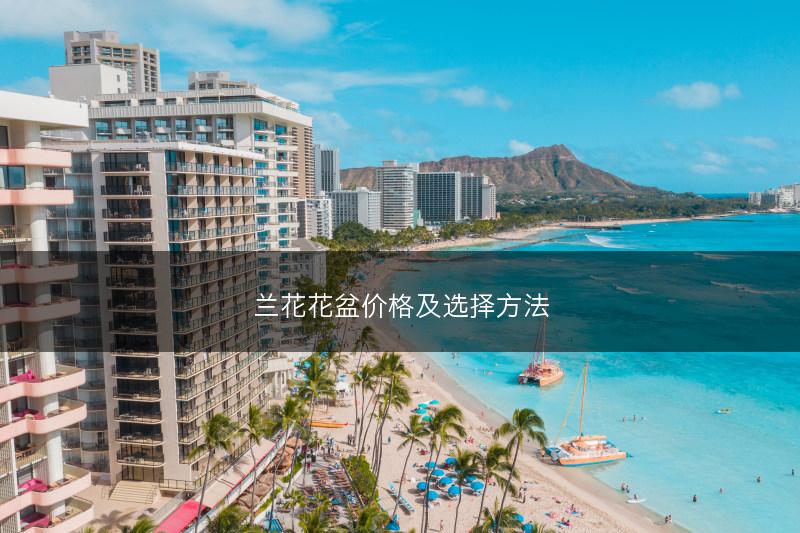 兰花花盆价格及选择方法(图1)