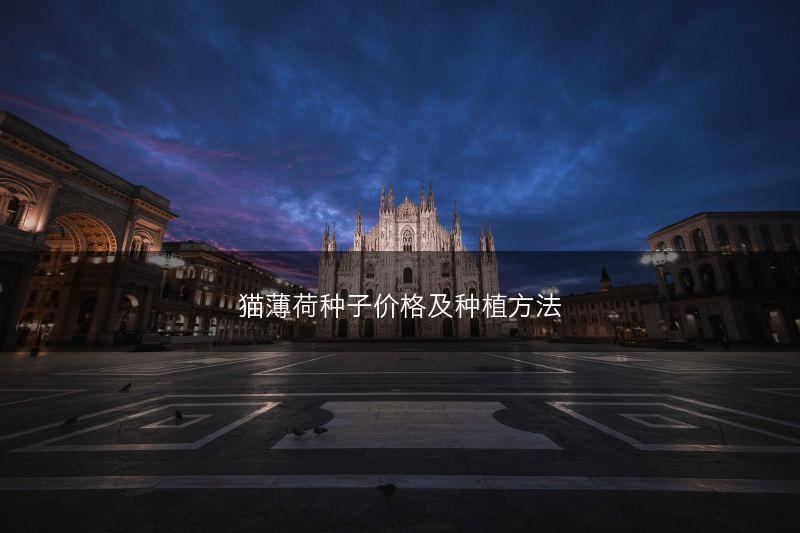 猫薄荷种子价格及种植方法(图1) 猫薄荷种子价格及种植方法(图1)