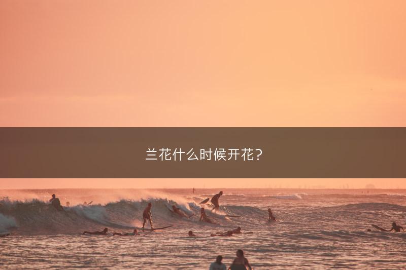 兰花什么时候开花?(图1) 兰花什么时候开花?(图1)