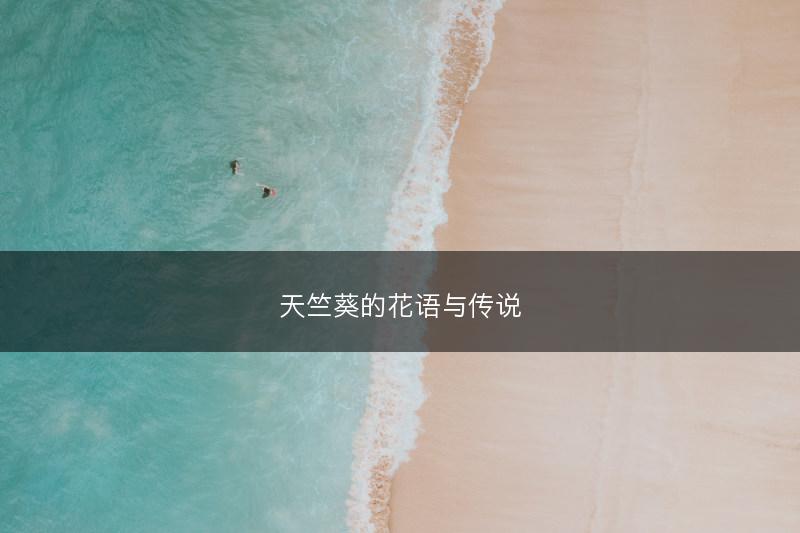 天竺葵的花语与传说(图1) 天竺葵的花语与传说(图1)