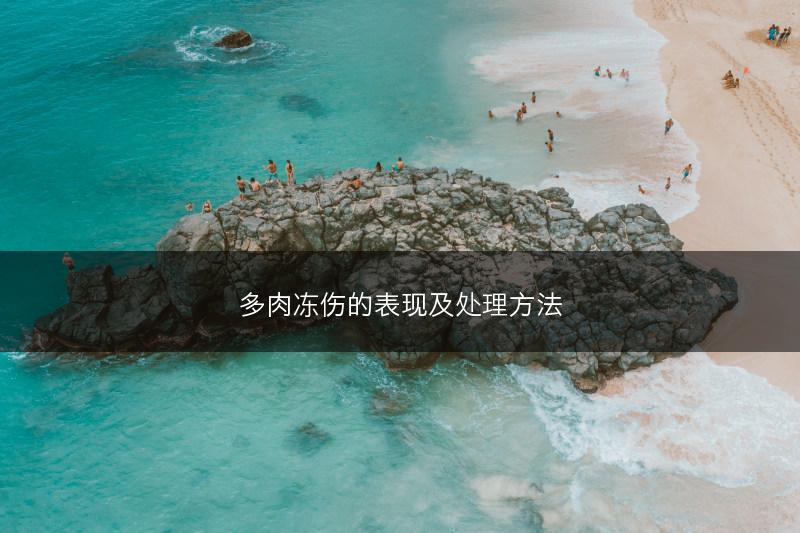 多肉冻伤的表现及处理方法(图1)