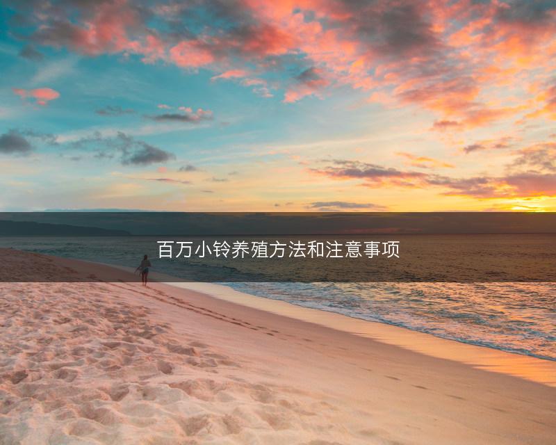 百万小铃养殖方法和注意事项(图1) 百万小铃养殖方法和注意事项(图1)