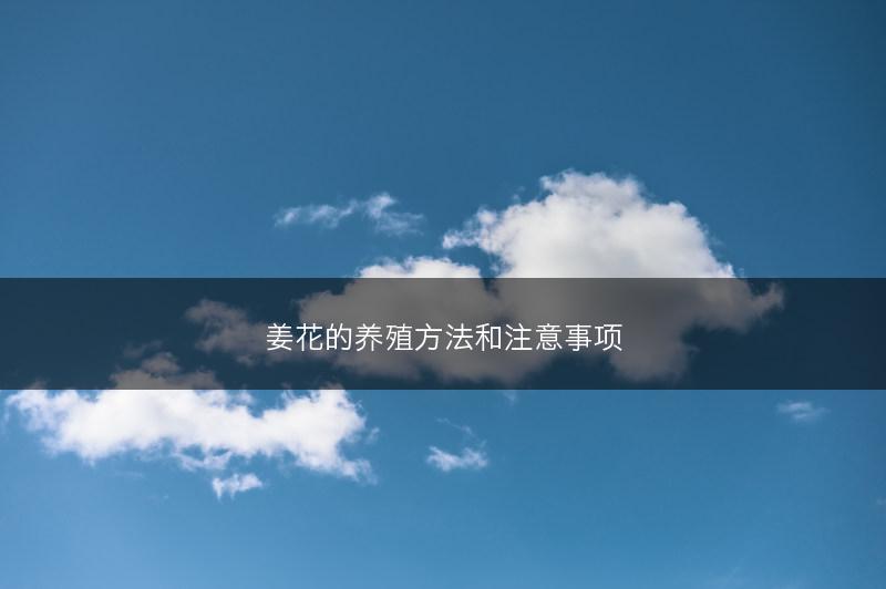 姜花的养殖方法和注意事项(图1) 姜花的养殖方法和注意事项(图1)