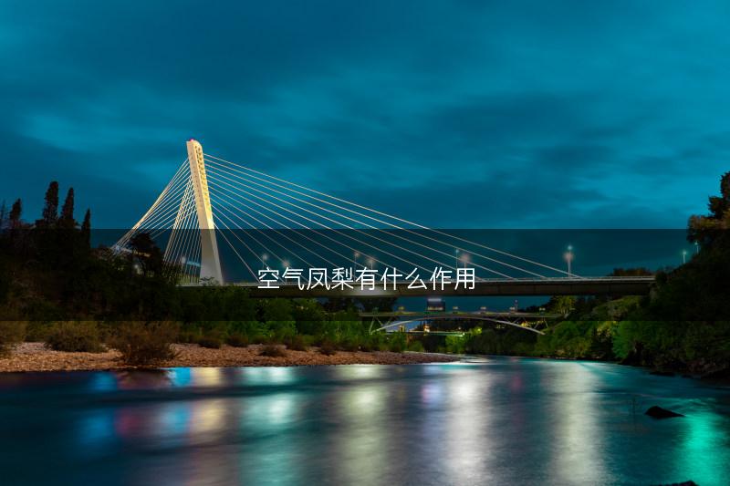 空气凤梨有什么作用(图1)