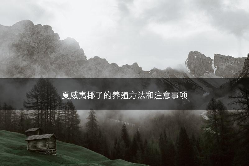 夏威夷椰子的养殖方法和注意事项(图1) 夏威夷椰子的养殖方法和注意事项(图1)