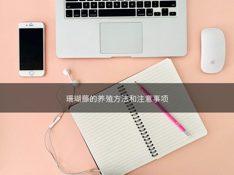 珊瑚藤的养殖方法和注意事项(图1) 珊瑚藤的养殖方法和注意事项(图1)