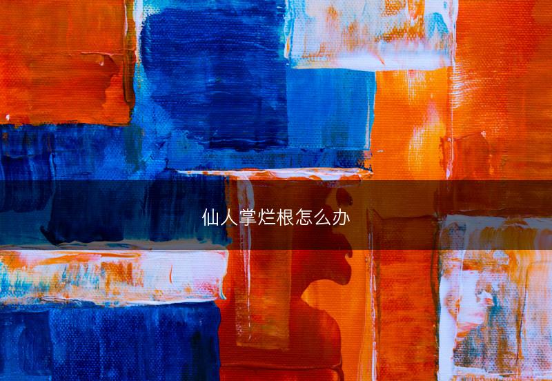 仙人掌烂根怎么办(图1) 仙人掌烂根怎么办(图1)