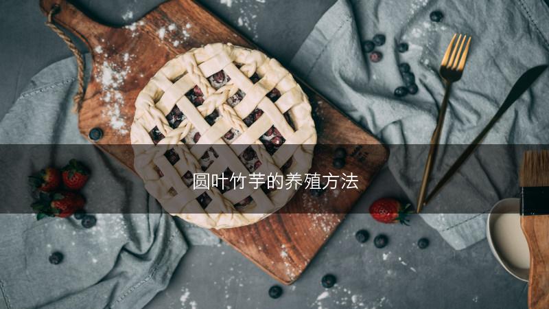 圆叶竹芋的养殖方法(图1) 圆叶竹芋的养殖方法(图1)