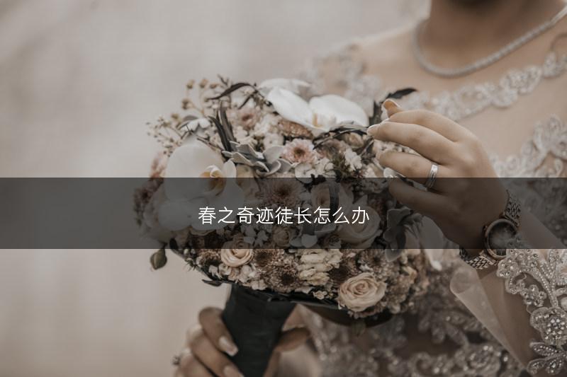 春之奇迹徒长怎么办(图1) 春之奇迹徒长怎么办(图1)